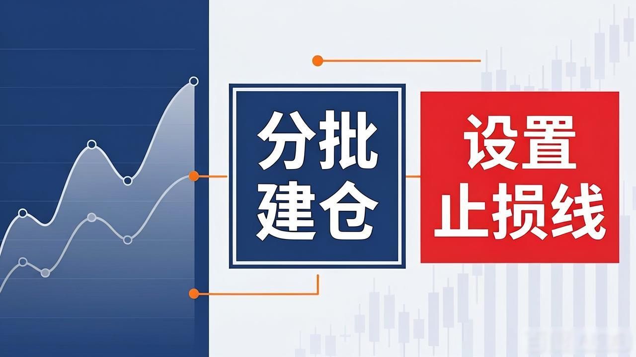 TP交易所app下载的市场风险与投资策略_数字资产交易风险控制_TP交易所风险